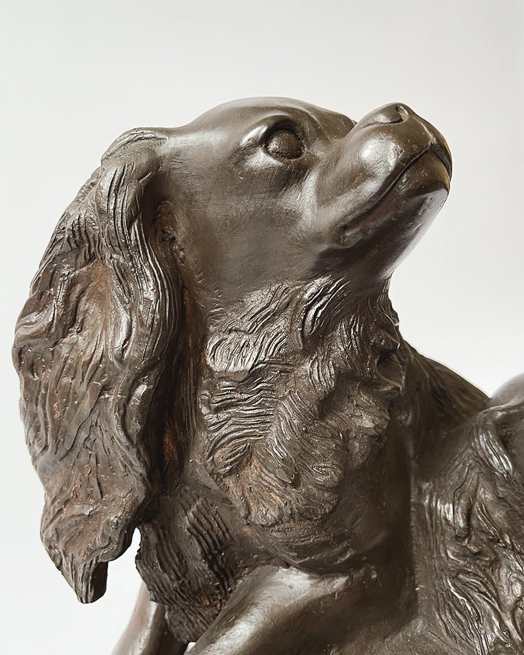 Cavalier King Charles Spaniels Bronze - Room Four
