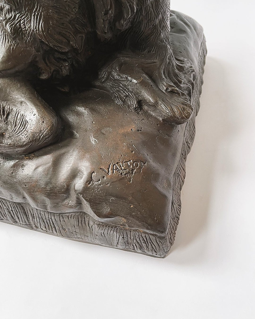 Cavalier King Charles Spaniels Bronze - Room Four