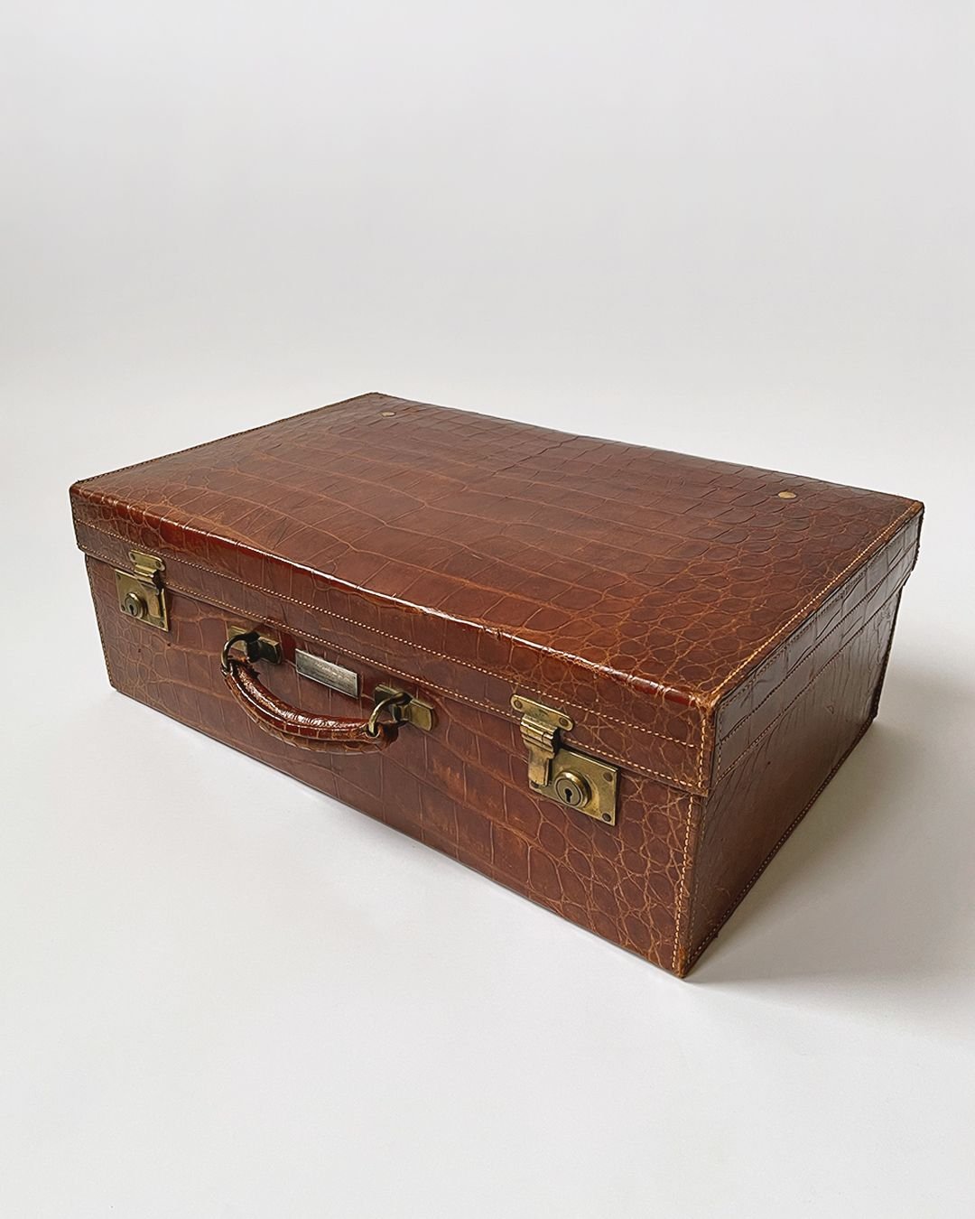 Crocodile Case - Mappin & Webb - Room Four