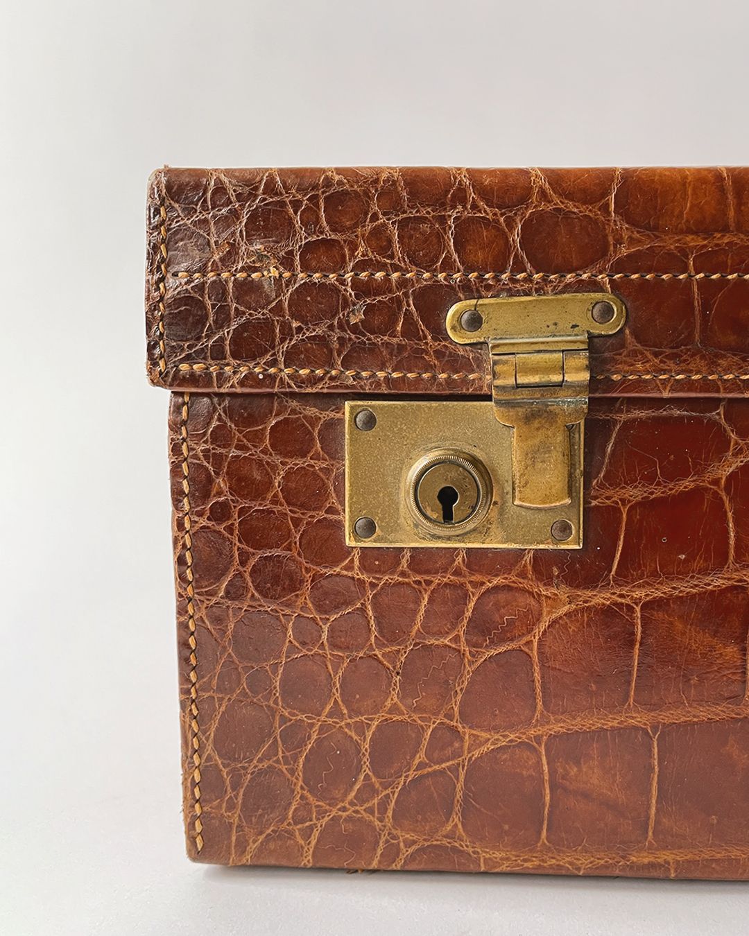 Crocodile Case - Mappin & Webb - Room Four