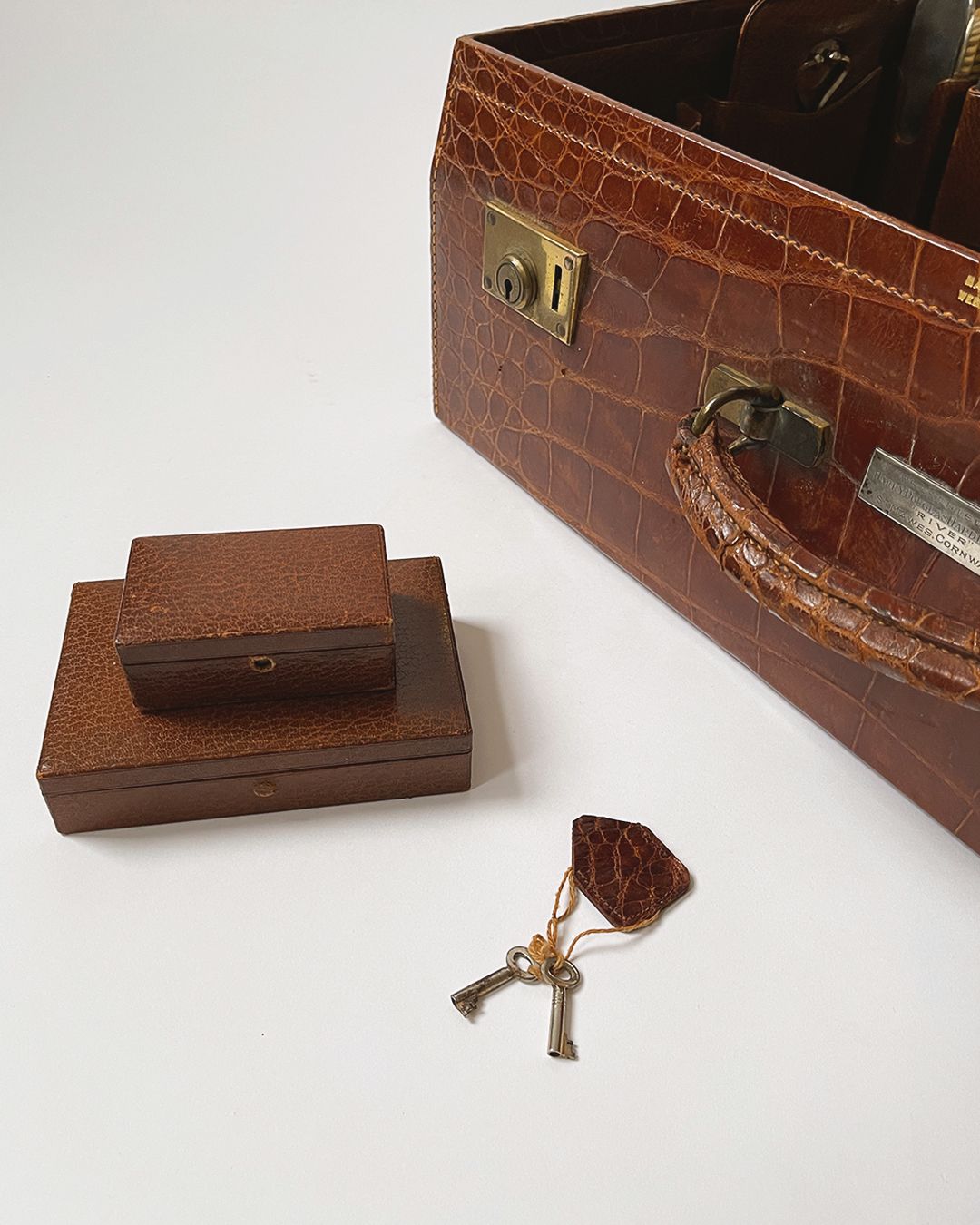 Crocodile Case - Mappin & Webb - Room Four