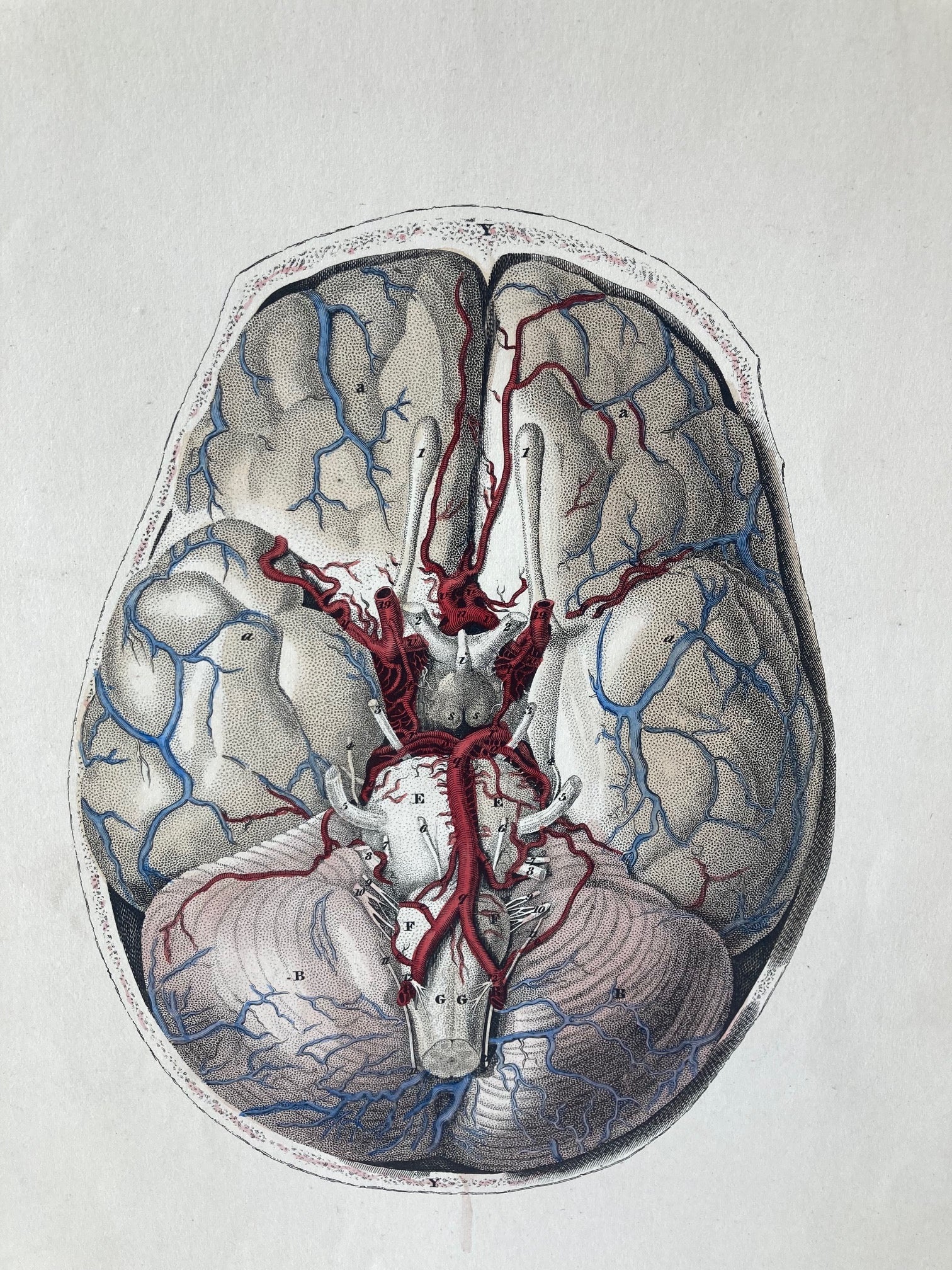 early anatomy - plate LXIV - original - Room Four