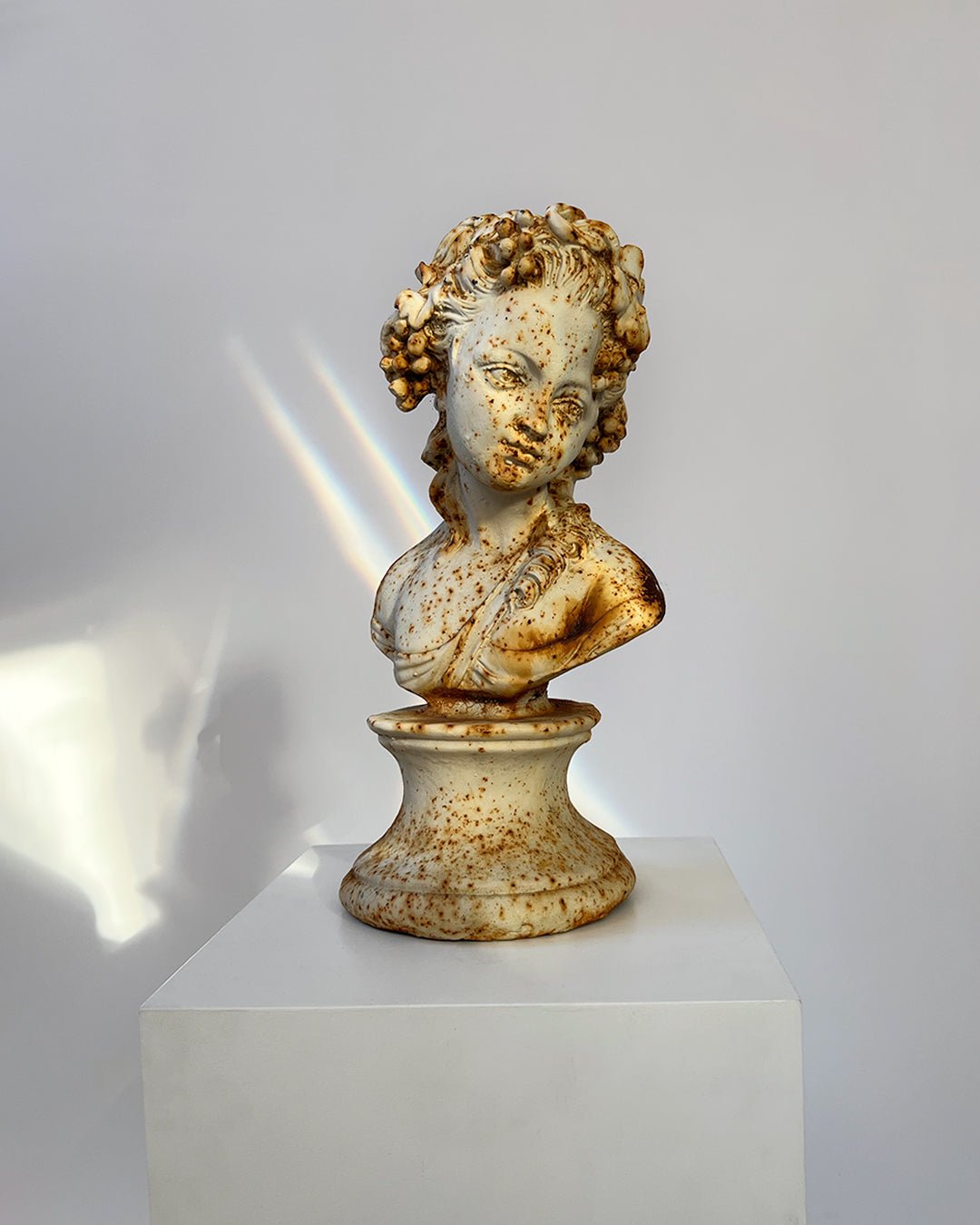 Garden Bust - La Jeune Fille - Room Four