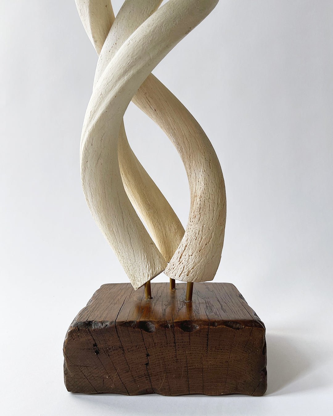 Kudo Horn Sculpture - Room Four