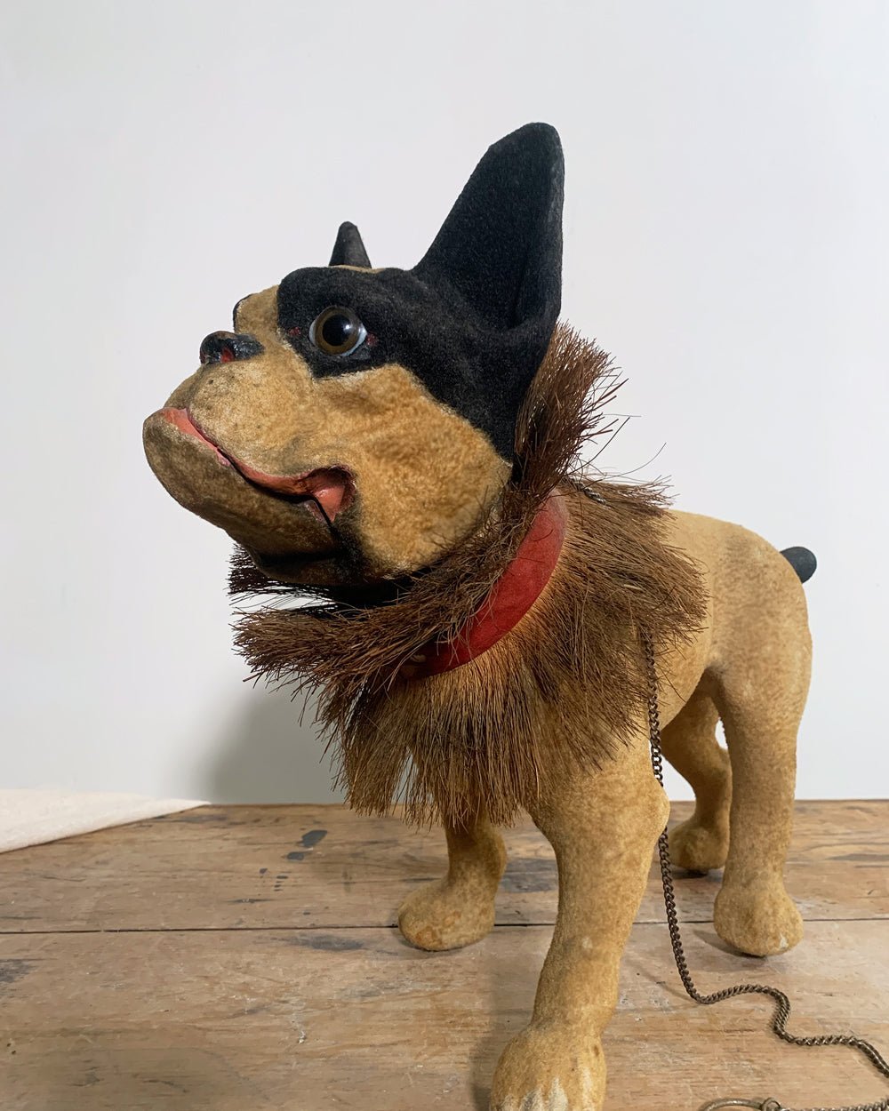 Rare 20th Century French Bulldog - Room Four