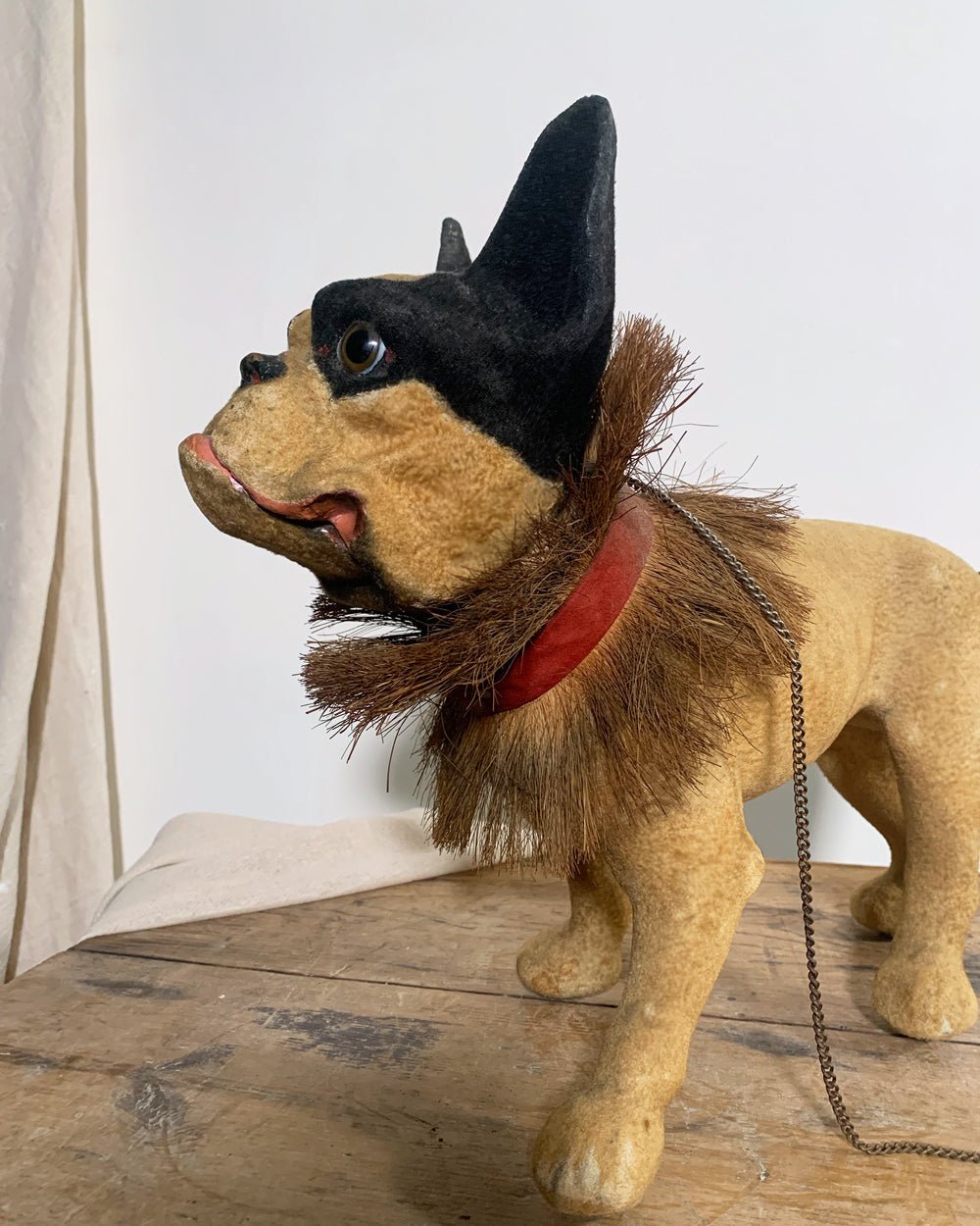 Rare 20th Century French Bulldog - Room Four