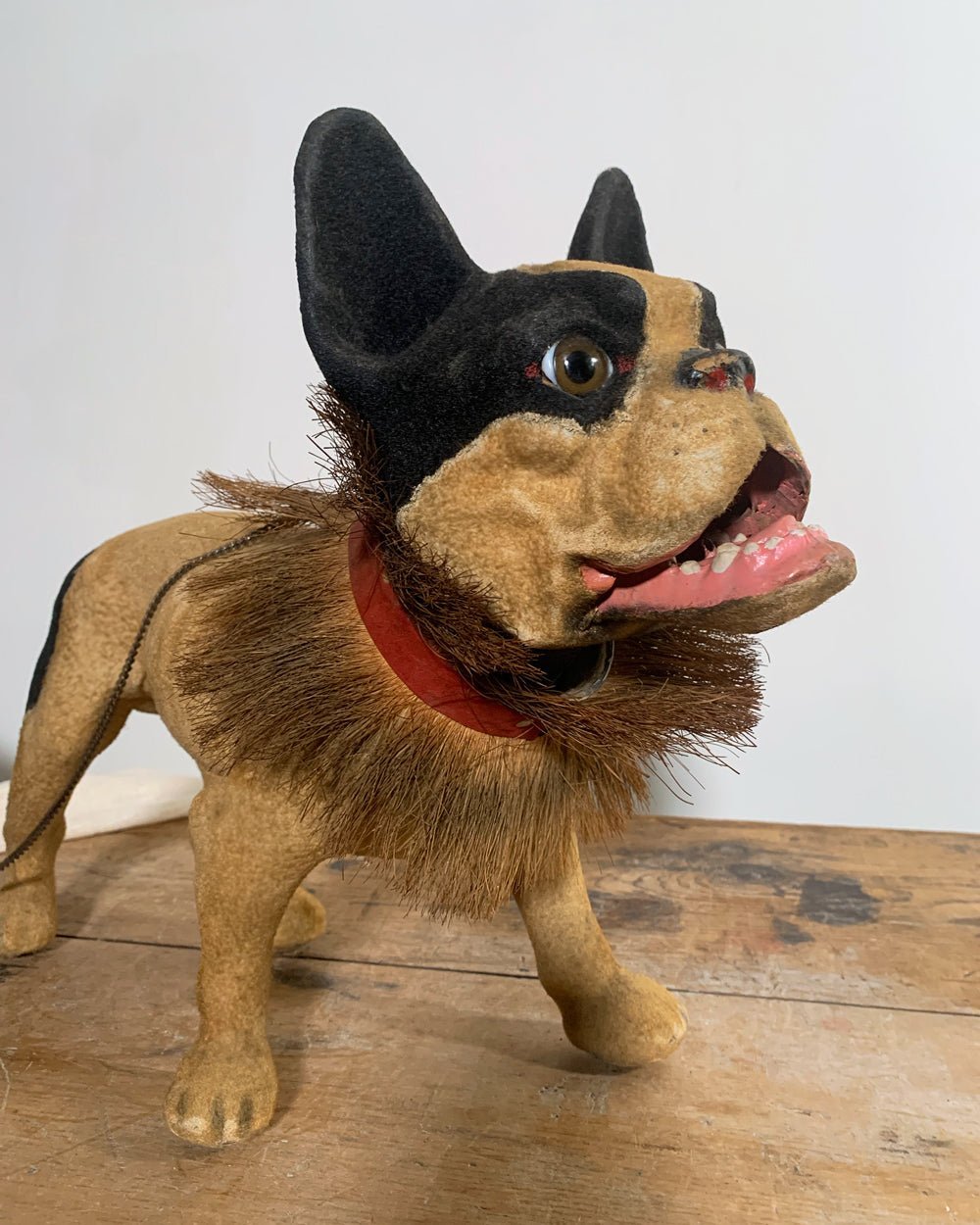 Rare 20th Century French Bulldog - Room Four