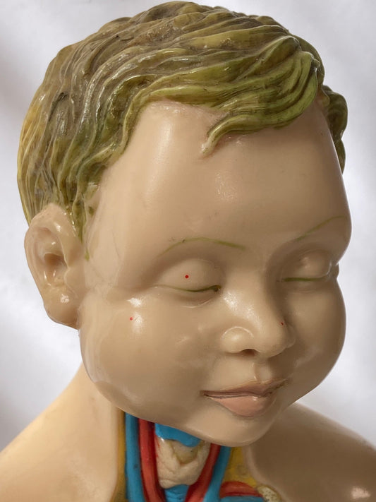 Rare Pædiatrics Teaching Aid / Anatomical model - Room Four