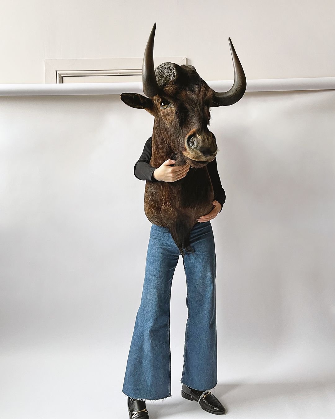 Taxidermy Wildebeest Shoulder Mount - Room Four
