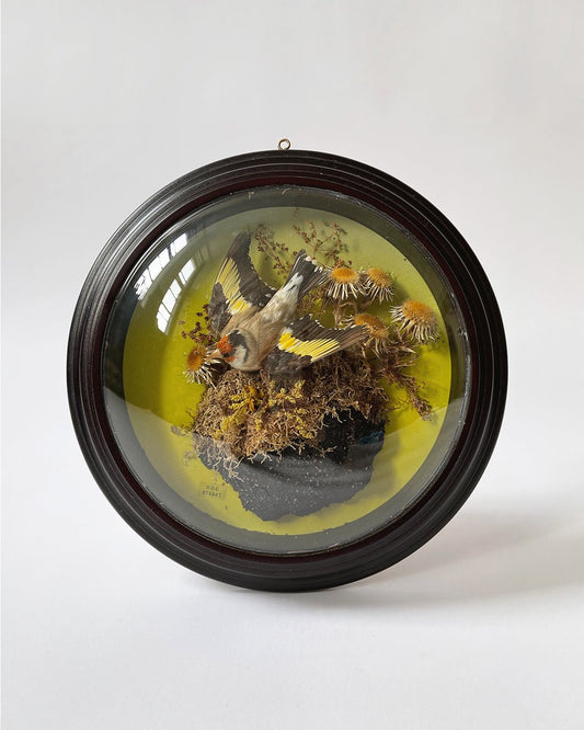 The Sacred Goldfinch - Room Four